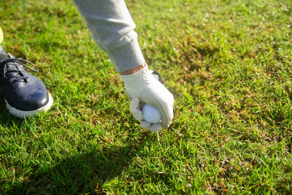 Silverado Country Club: Course Highlights Reviewed