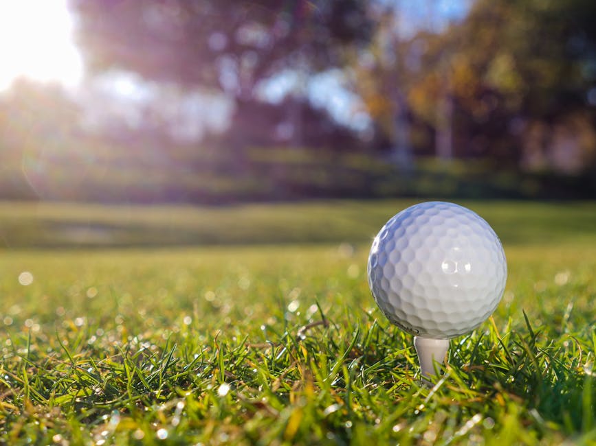 Golfing Friendships: Connecting Through the Game