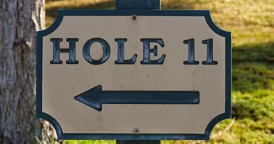 A Comprehensive Guide to Silverado Golf